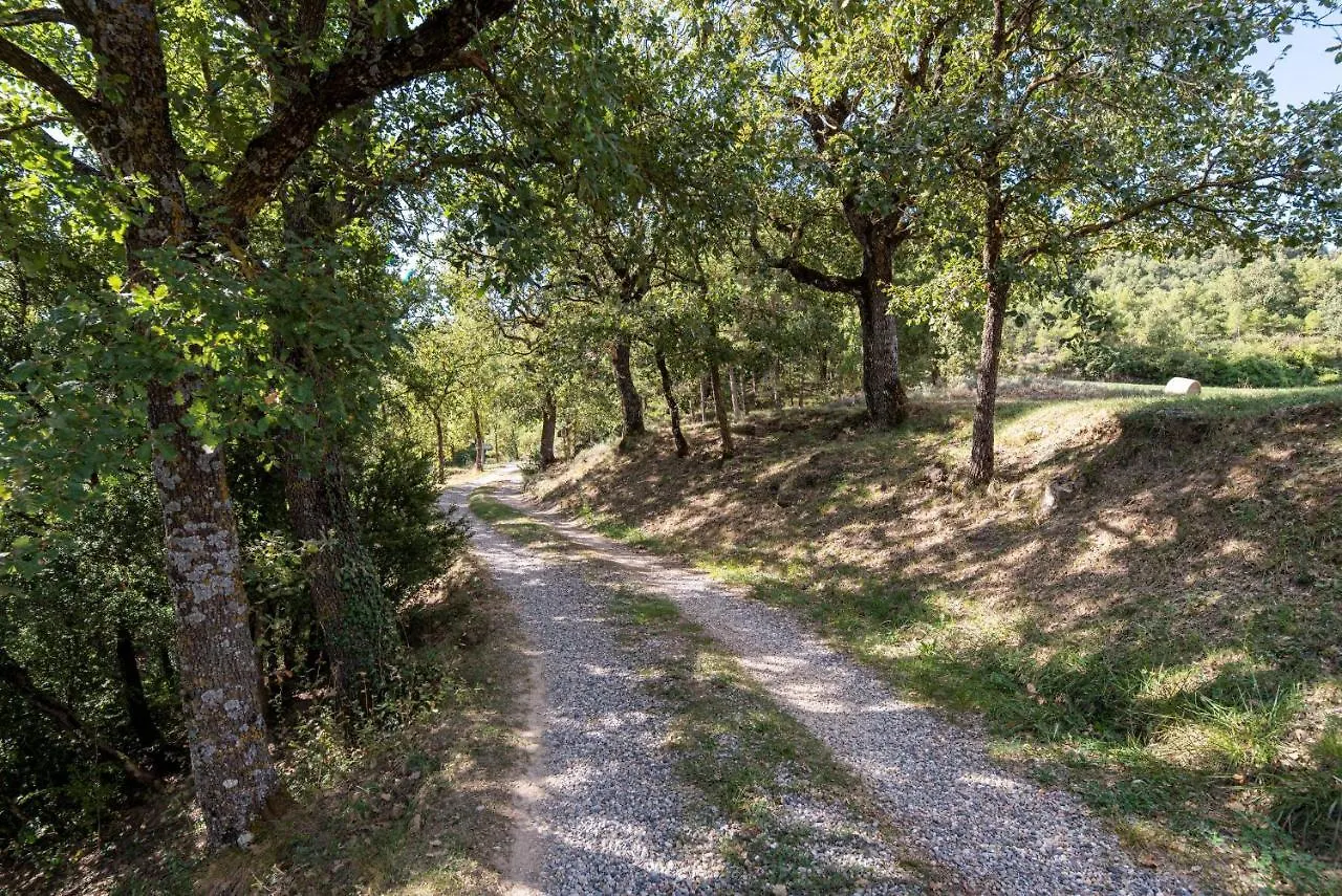 Σπίτι διακοπών Casa Moixella Βίλα Lladurs